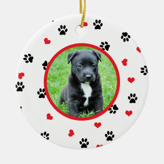 pet Foto mit niedlichem süßem Tatzen- und Keramikornament (Vorne)