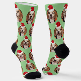 Pet Foto Sage Green Weihnachtsmannmützen Niedlich  Socken