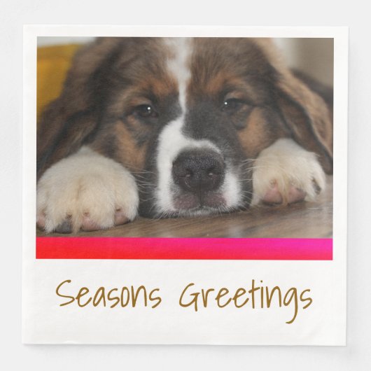 Pet-Foto Serviette (Vorderseite)