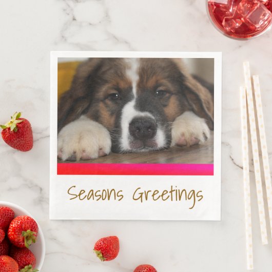 Pet-Foto Serviette (Beispiel)