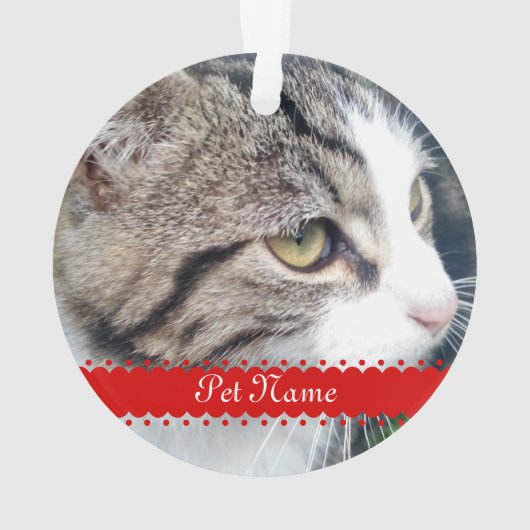 Pet Foto Weihnachtsverzierung | Antriebskraft Ihre Ornament (Rückseite)