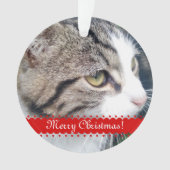 Pet Foto Weihnachtsverzierung | Antriebskraft Ihre Ornament (Vorderseite)