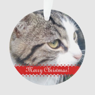 Pet Foto Weihnachtsverzierung   Antriebskraft Ihre Ornament