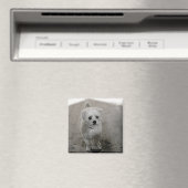 Pet Foto Zeitlos Keepake Dog Mama Vater Magnet (In Situ (Geschirrspüler))