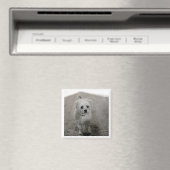 Pet FOTO Zeitlos Keepake Dog Mama Vater Spaß Magnet (In Situ (Geschirrspüler))