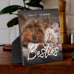 Pet Friends Hund Vater Katze Mama Geschenk BESTE F Fotoplatte<br><div class="desc">Haben Sie Haustiere,  die beste Freunde sind? Feiern Sie die BESTÄTIGKEITEN mit dieser modernen Pinsel-Skript-Foto-Plakette,  die ein beliebtes Foto Ihrer Pelzbabys und deren Namen zeigt. Leicht anzupassen,  ist dies ein großartiges Geschenk für jede Katzenmutter,  Hundedad oder Fan von Liebe zwischen den Spezies.</div>