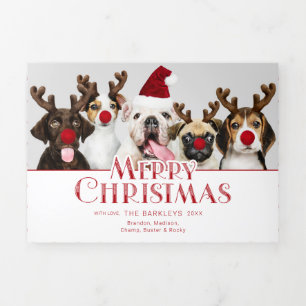 Pet Frohe Weihnachten Typografie   Foto   Punkte Dreifach Gefaltete Urlaubskarte