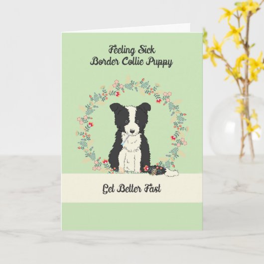 Pet Get Well Card for Border Collie Puppy Karte (Gelbe Blume)