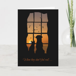 Pet Get Well Card, Get Well Card for Cat or Dog Karte