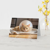 Pet Get Well Ginger Cat Wearing a Cone of Shame Karte (Gelbe Blume)