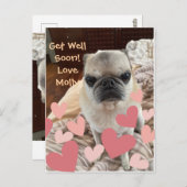 Pet Get Well - Insert your Pet Postkarte (Vorne/Hinten)