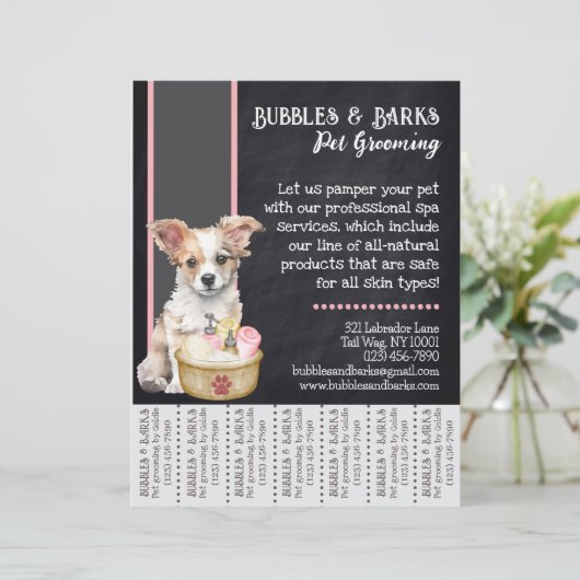 Pet Groomer Tear-Away-Flyer (Stehend Vorderseite)