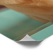 Pet Grooming Salon Boutique Labrador Portrait Poster (Ecke)