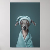 Pet Grooming Salon Italienisches Greyhound Portrai Poster (Vorne)