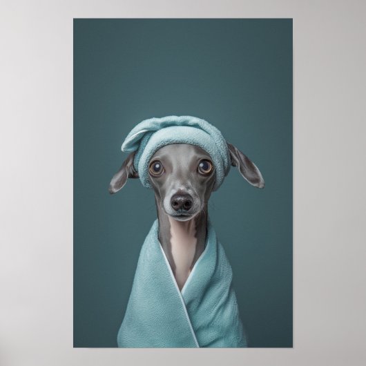Pet Grooming Salon Italienisches Greyhound Portrai Poster (Vorne)
