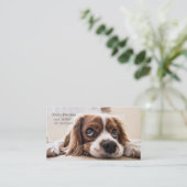 Pet Grooming Visitenkarte (Stehend Vorderseite)