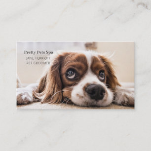 Pet Grooming Visitenkarte