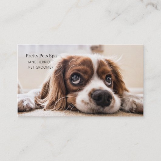 Pet Grooming Visitenkarte (Vorderseite)