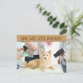 Pet Grooming Wellness-Center Day Postkarte (Stehend Vorderseite)