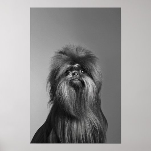 Pet Groomon Boutique Affenpinscher Portrait Poster (Vorne)