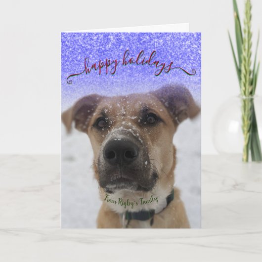 Pet Happy Holidays Feiertagskarte (Vorderseite)