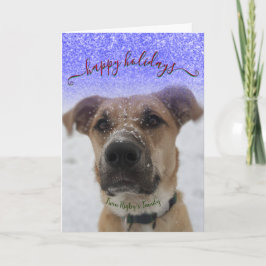 Pet Happy Holidays Feiertagskarte