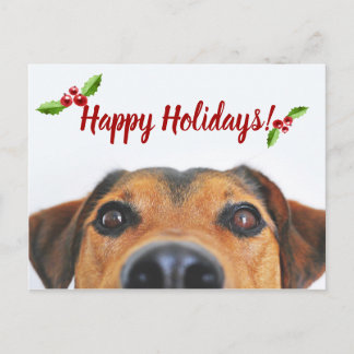 Pet Holiday Foto Feiertagspostkarte