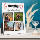 Pet-Hund 4-Foto-Collage anpassen Fotoplatte (Seite)