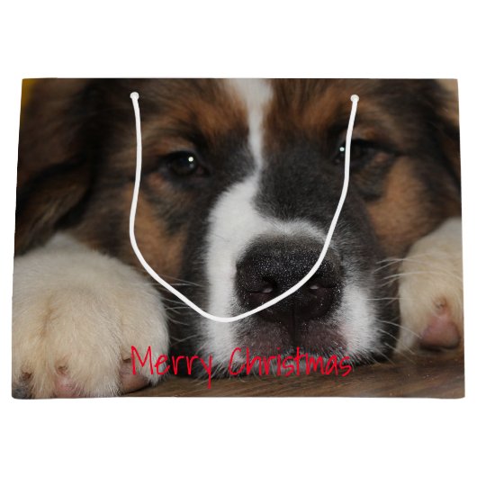 Pet Hund Fotografie Große Geschenktüte (Vorderseite)