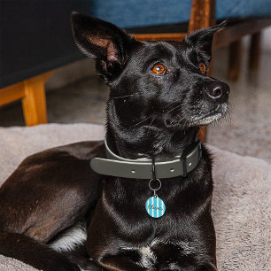 Pet ID Tag gefüllt mit Streifen Haustiermarke