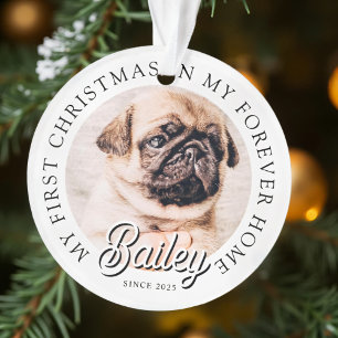 Pet ist mein erstes Weihnachten in ewig Zuhause Mo Ornament