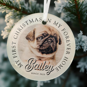 Pet ist mein erstes Weihnachten in ewig Zuhause Mo Ornament Aus Glas