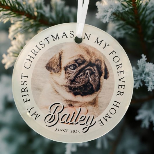 Pet ist mein erstes Weihnachten in ewig Zuhause Mo Ornament Aus Glas