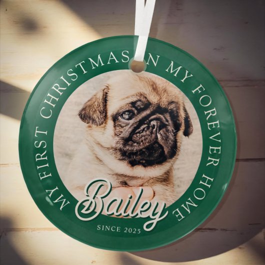 Pet ist mein erstes Weihnachten in ewig Zuhause Mo Ornament Aus Glas