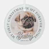 Pet ist mein erstes Weihnachten in ewig Zuhause Mo Ornament Aus Glas (Vorderseite)