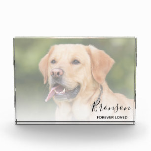 Pet Keepake   Memorial Fotoblock