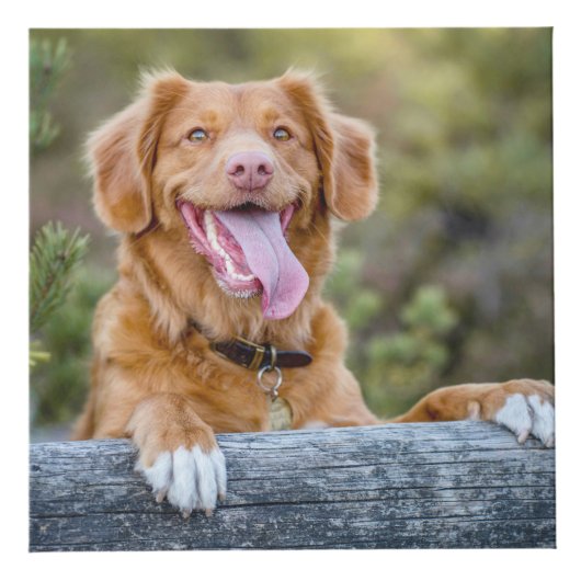 Pet Keepake Puppy Dog Foto Würfel (Vorderseite)