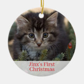 Pet Kittens First Christmas Foto Ornament (Vorne)