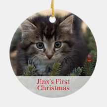 Pet Kittens First Christmas Foto Ornament