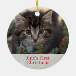 Pet Kittens First Christmas Foto Ornament