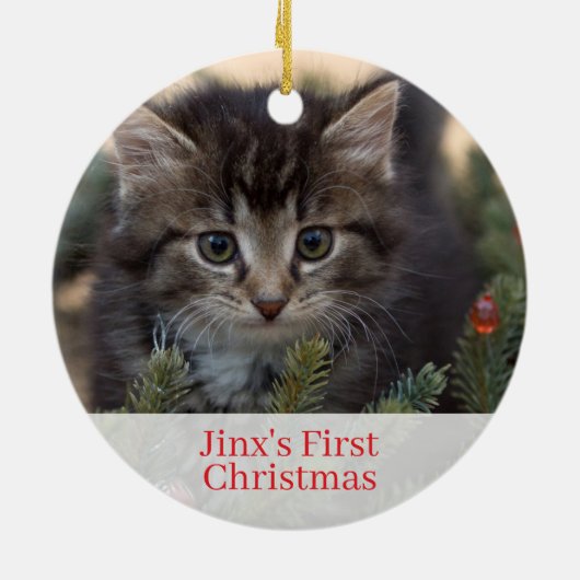 Pet Kittens First Christmas Foto Ornament (Hinten)