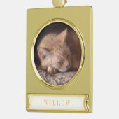 PET LIEBE Banner Ornament / Gold (Links)