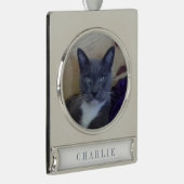 PET LIEBE Banner Ornament / Silber (Rechts)