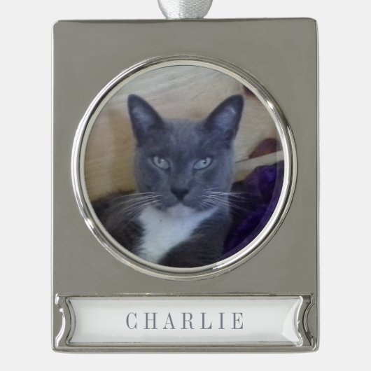 PET LIEBE Banner Ornament / Silber (Vorderseite)