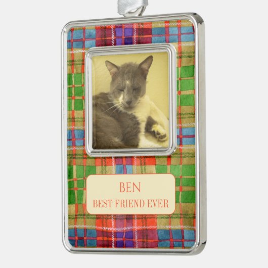 PET LIEBE Gerahmt Vert Ornament + Text / MacRaePla Rahmen-Ornament Silber (Links)