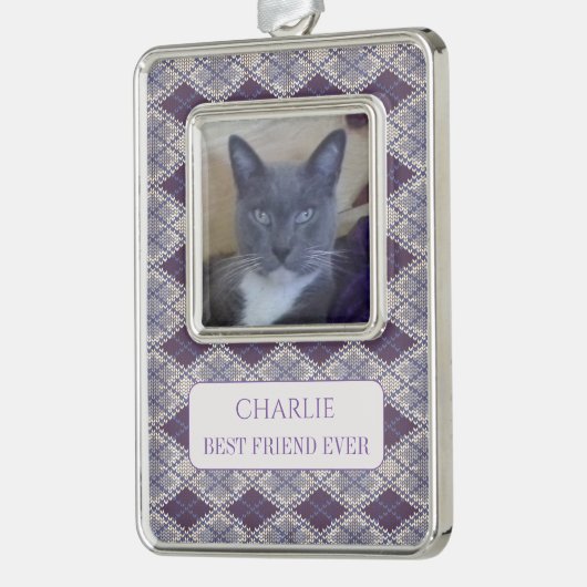 PET-LIEBE Gerahmt Vert Ornament + Text / Strick Rahmen-Ornament Silber (Links)