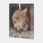 PET LIEBE Glasplatz Ornament Aus Glas (Vorderseite links)