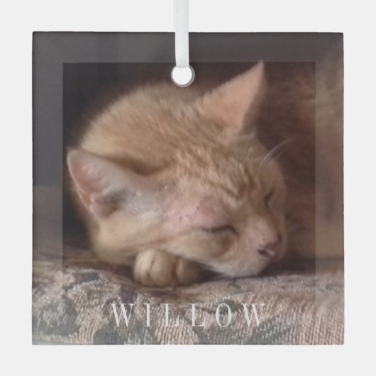 PET LIEBE Glasplatz Ornament Aus Glas (Vorderseite)