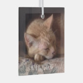 PET LIEBE Glasplatz Ornament Aus Glas (Vorderseite Rechts)