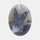 PET LIEBE Glaszirkel Ornament Aus Glas (Vorderseite links)
